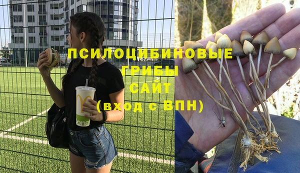 ешки Алексин
