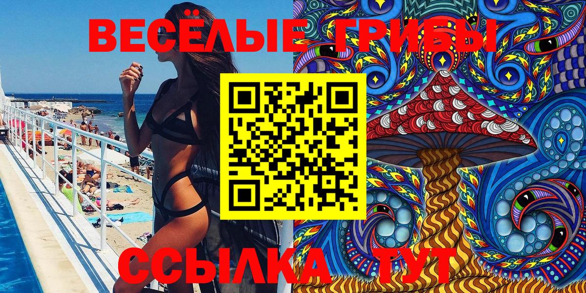 Севастополь  Галлюциногенные грибы GOLDEN TEACHER  Вход с VPN 